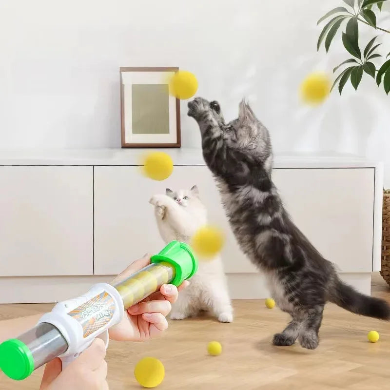 Interactive Launch Training Cat Toy