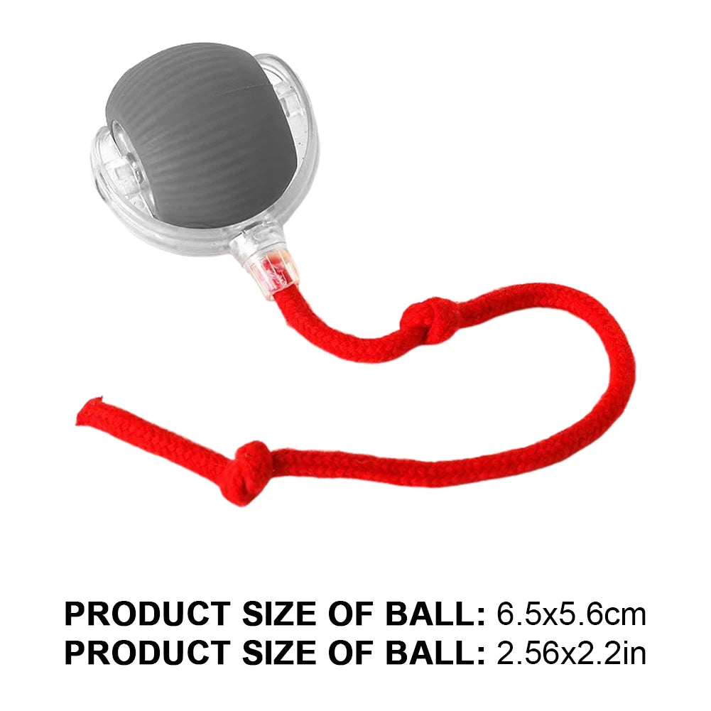 Rechargeable Automatic Motion Activated Caterpillar Teasing Cat Toy