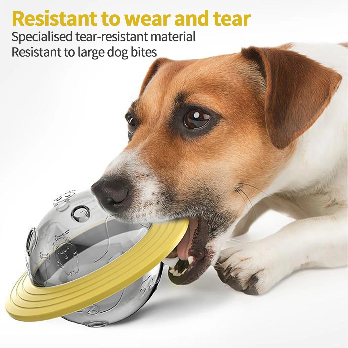 Two-in-one Interactive Improve IQ Food Ball and Flying Disk Toy