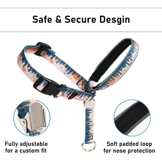 Anti-Pulling Harness with Leash