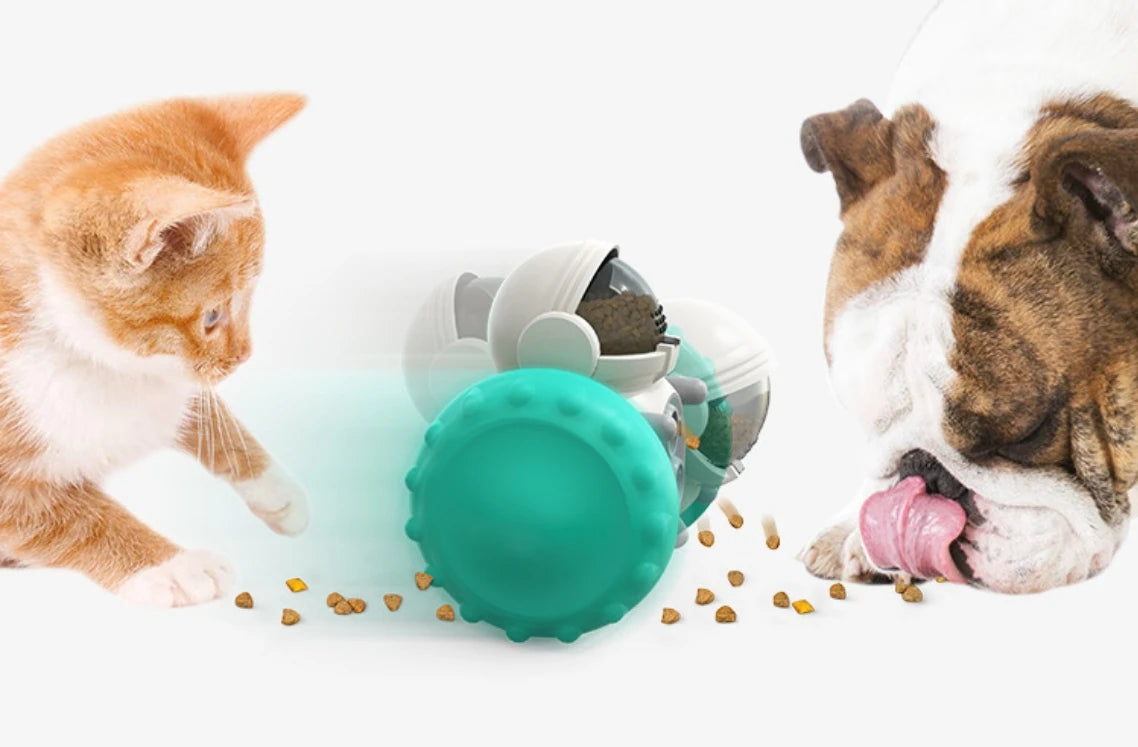 Interactive Treat Dispenser