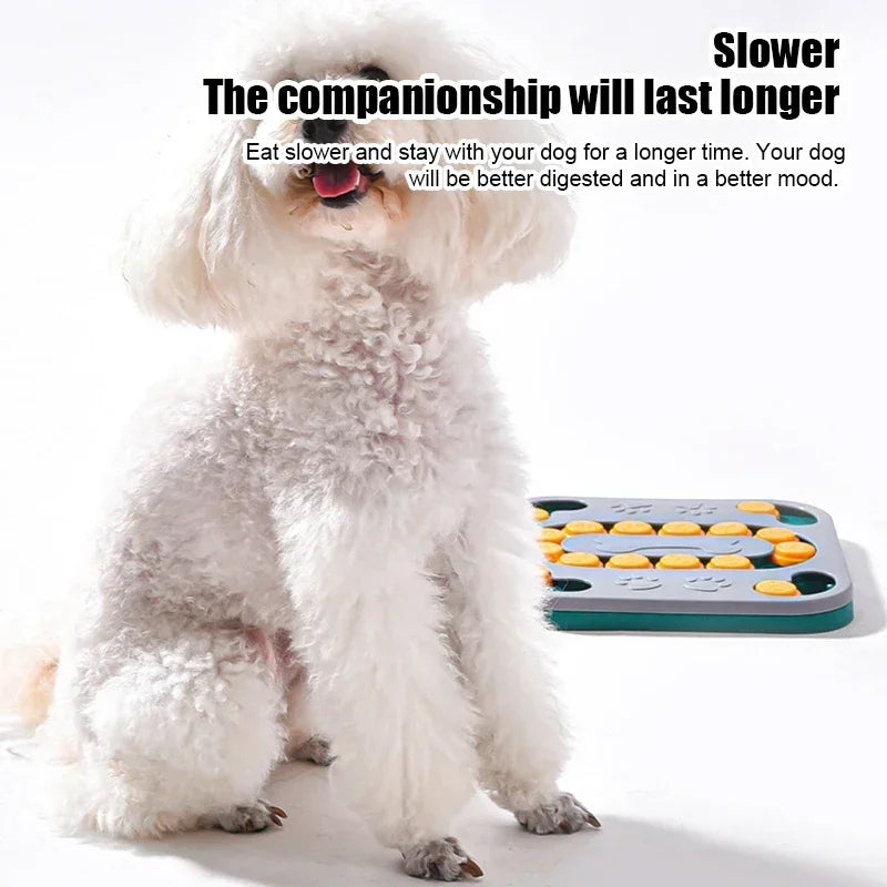 Interactive IQ Training Puzzle Slow Feeder Toys