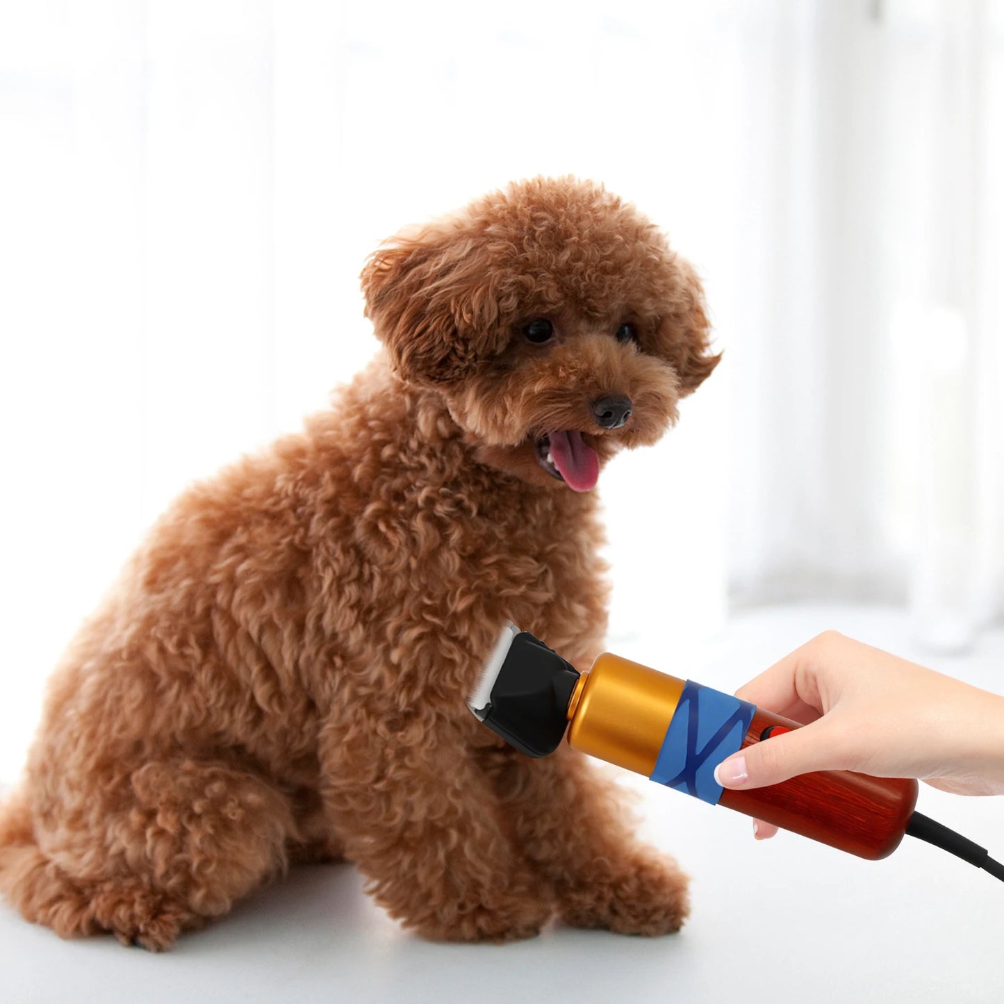 High-efficiency Low Noise Pet Hair Clippers
