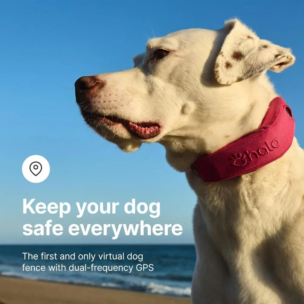 High quality Wireless Waterproof Dog Fence & Training Collar