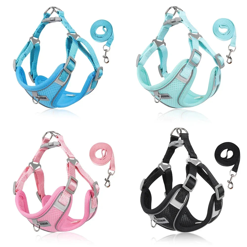 Harness Leash Set for Small Medium Dog