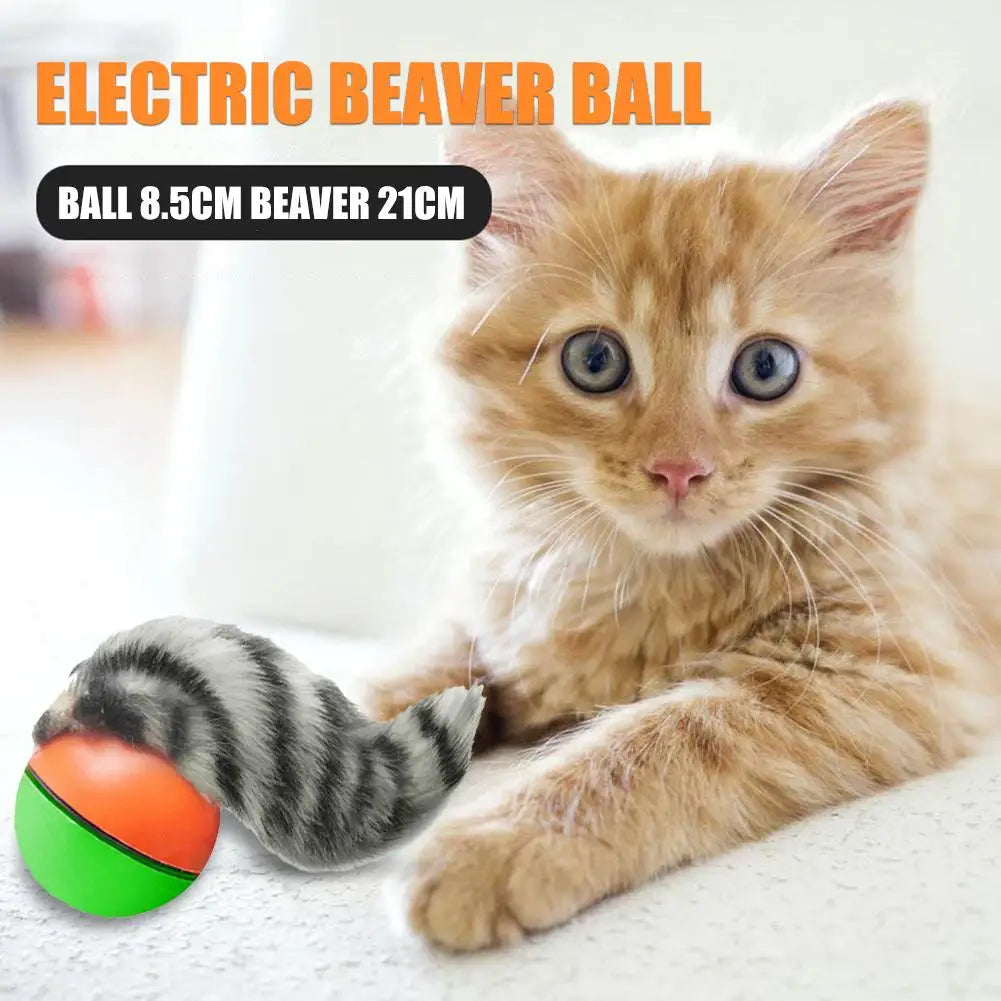 Electric Rolling Ball for Dogs/ Cats
