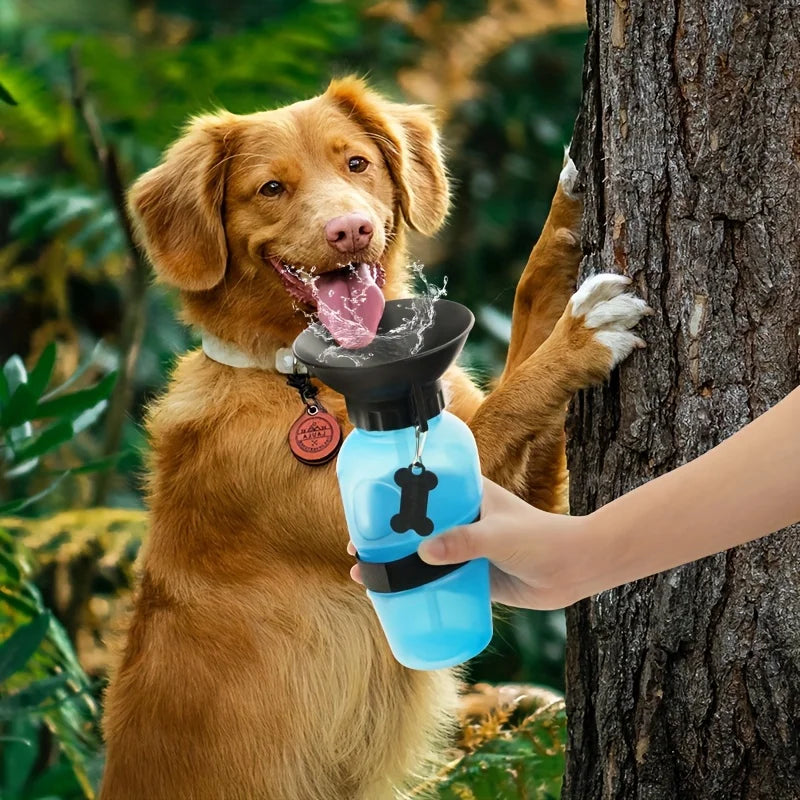 Portable Outdoor Travel Water Bottle