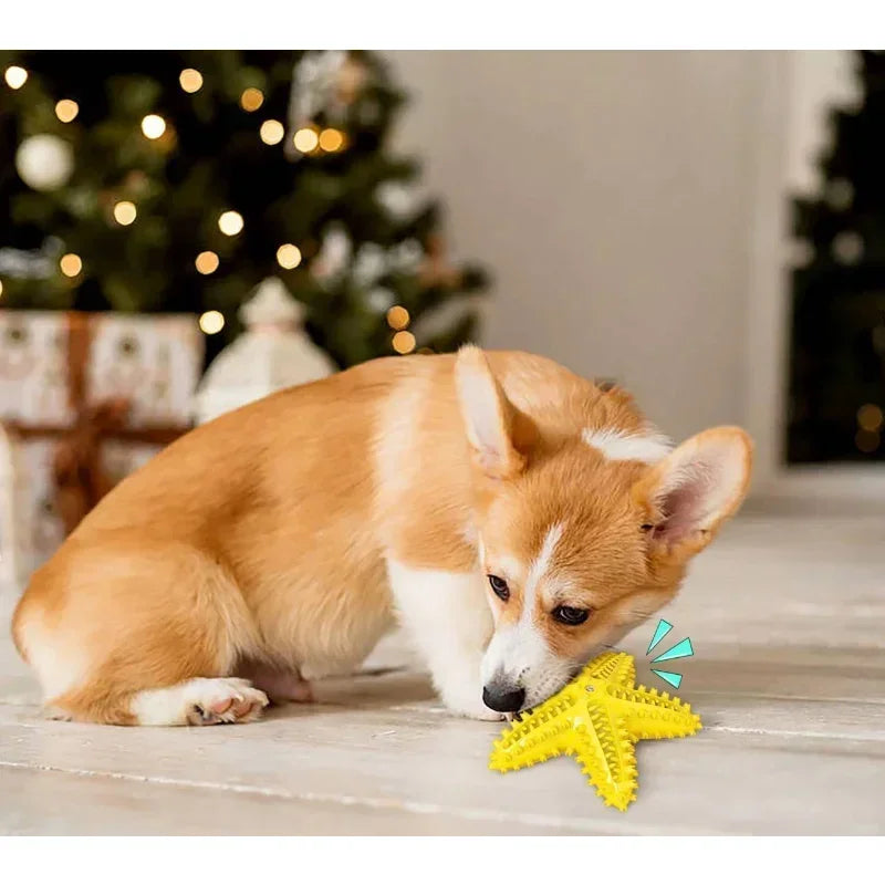 Interactive Rubber Chew Toy For Dog Oral Cleaning