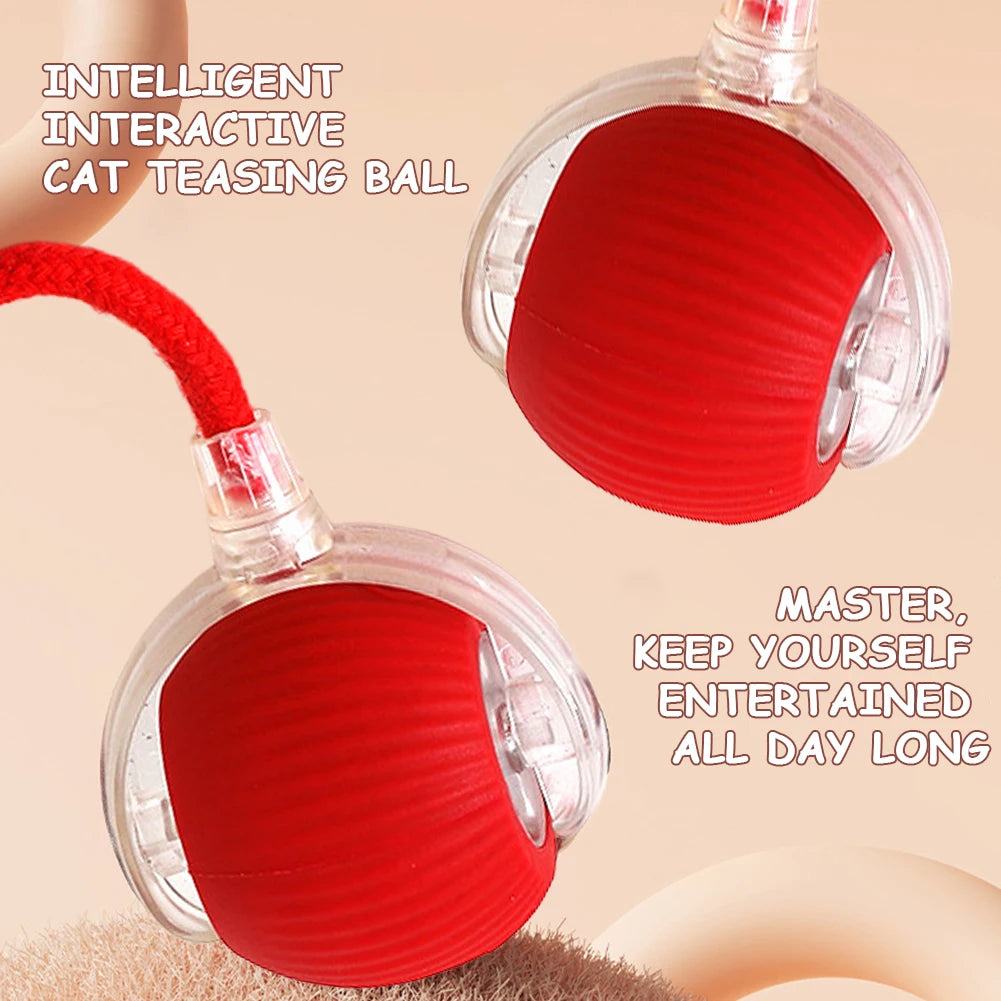 Interactive Rechargeable Self Rotating Ball