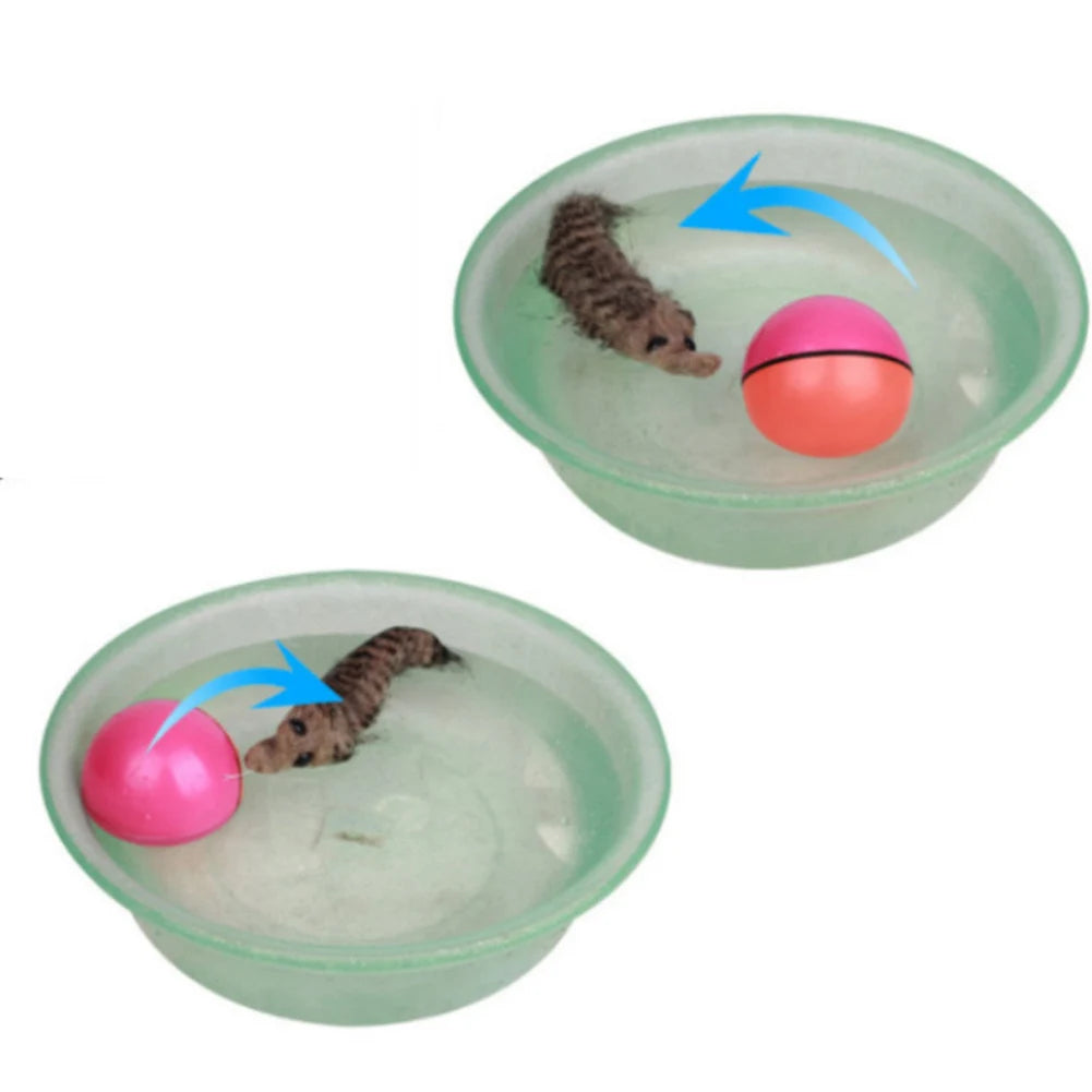 Electric Rolling Ball for Dogs/ Cats