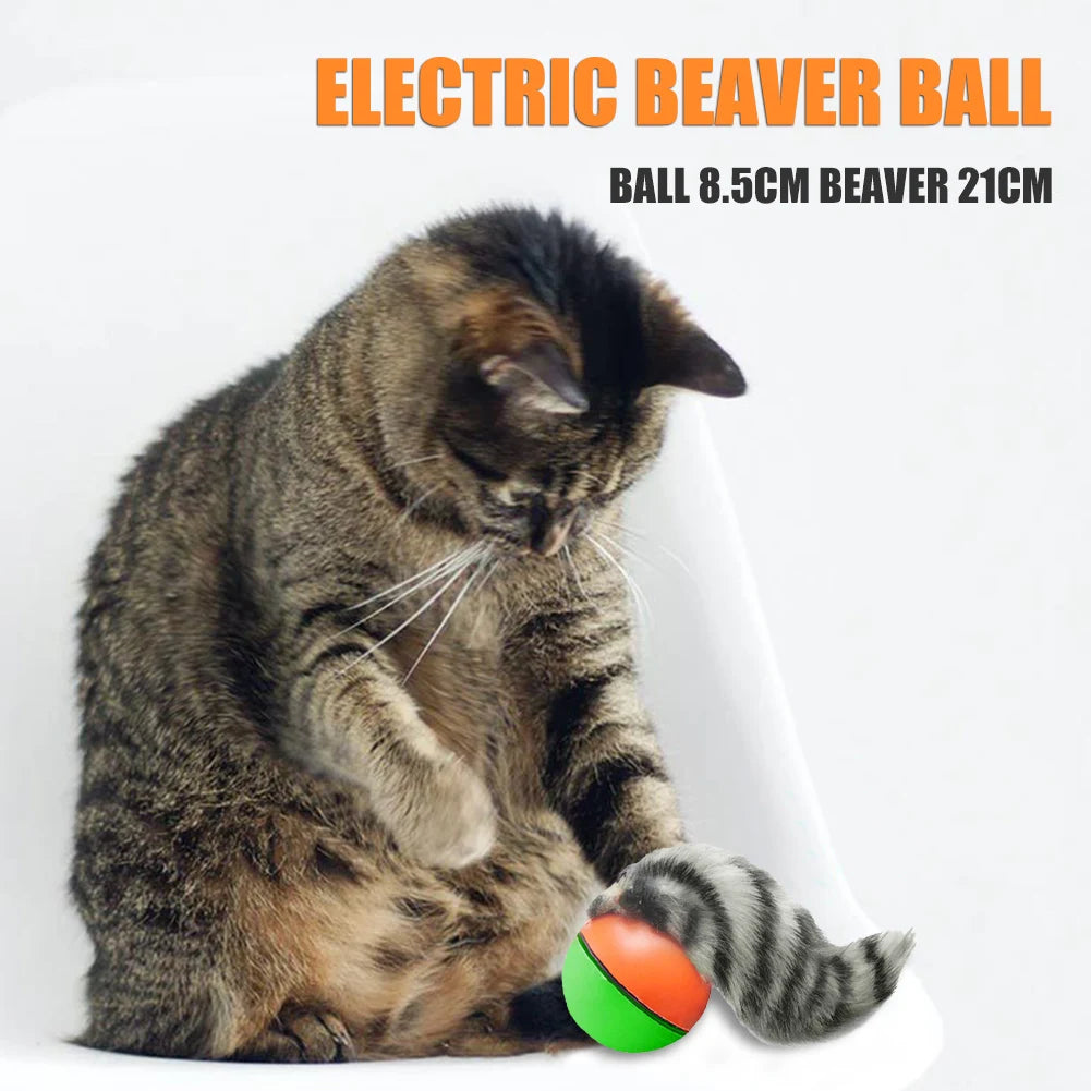 Electric Rolling Ball for Dogs/ Cats