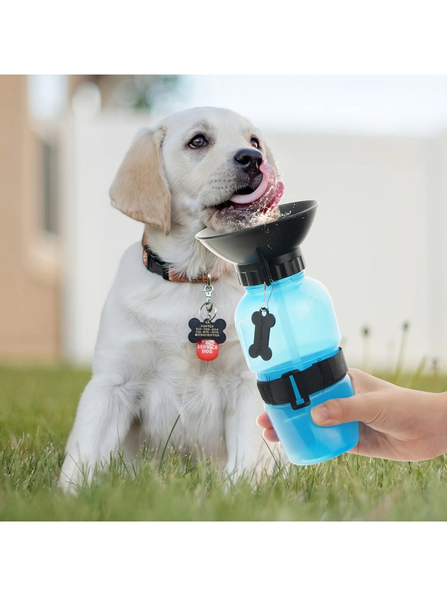 Portable Outdoor Travel Water Bottle