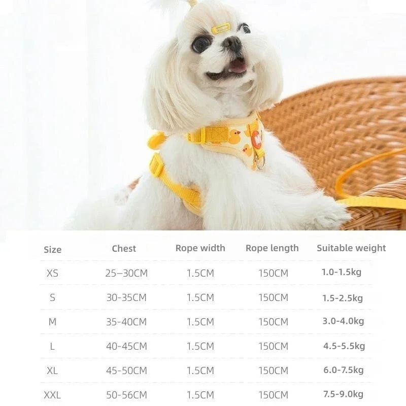 Adjustable Harness and Leash Set