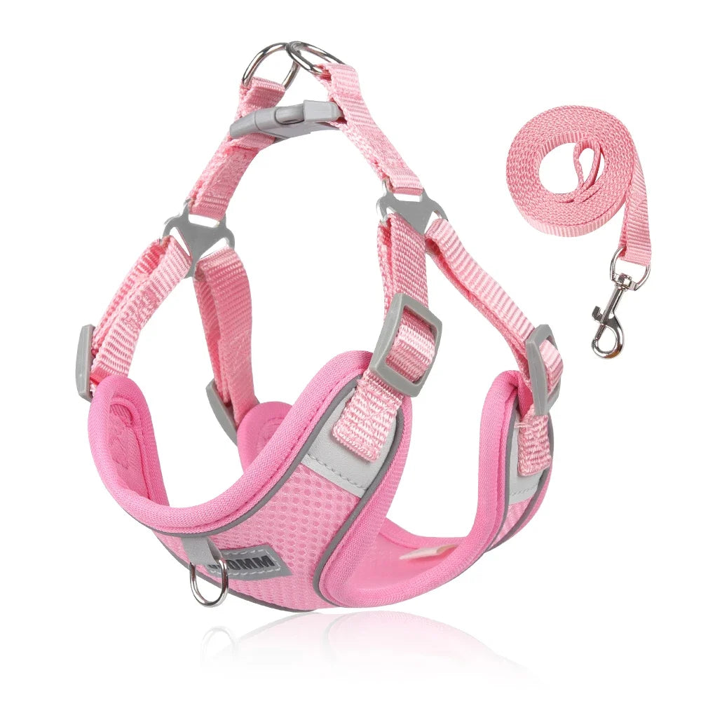 Harness Leash Set for Small Medium Dog