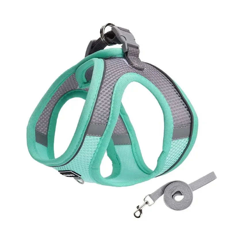 Adjustable Dog Harness Leash Set for Small Dogs