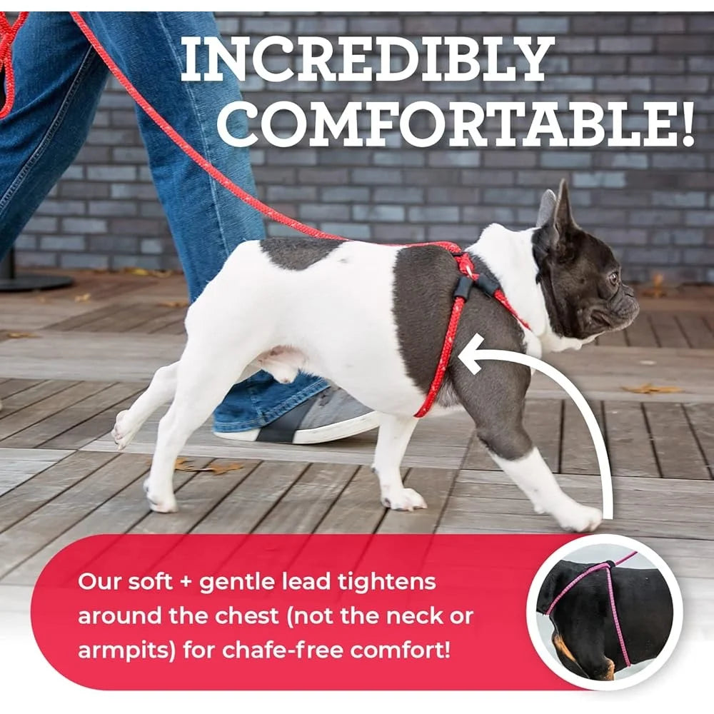 No Pull Dog Harness and Leash
