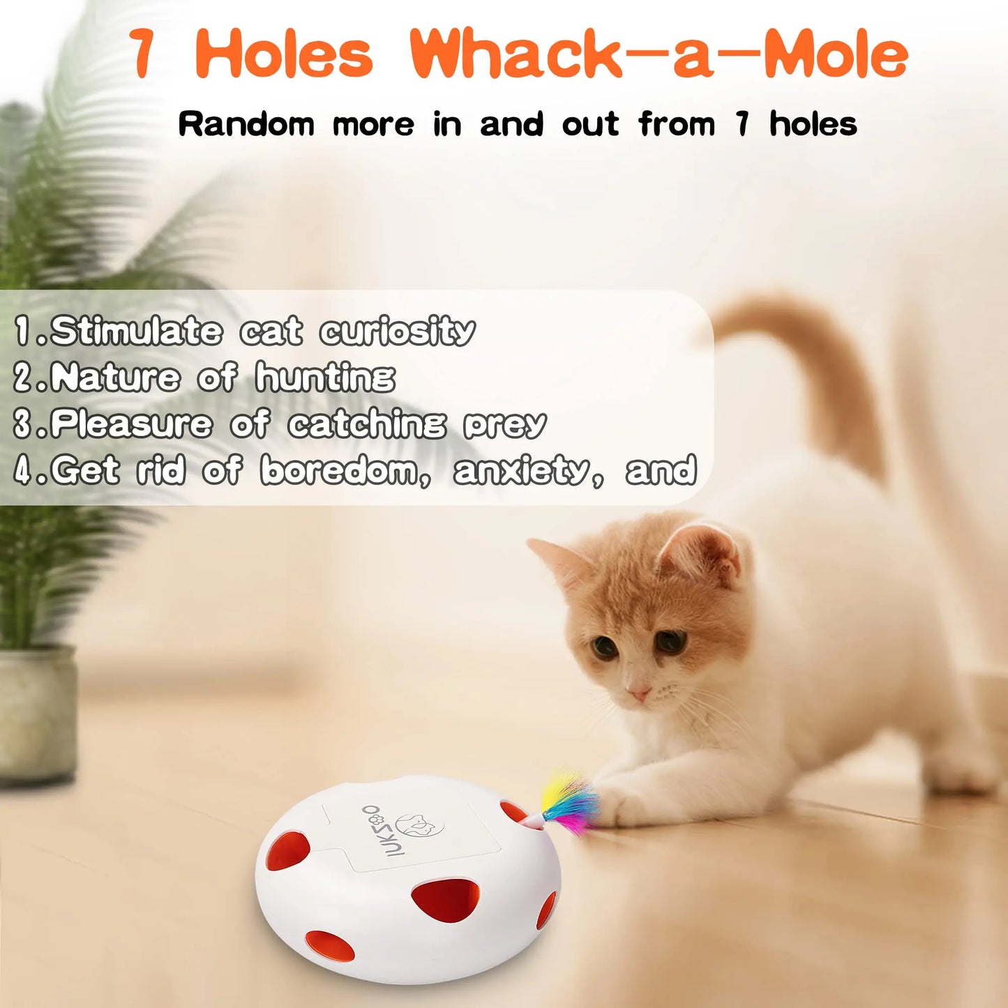 Automatic Interactive Cat Toys