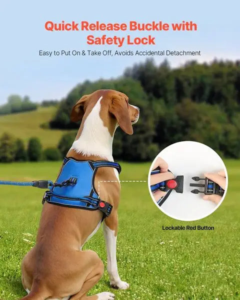 Adjustable No Pull Pet Harness with Leash