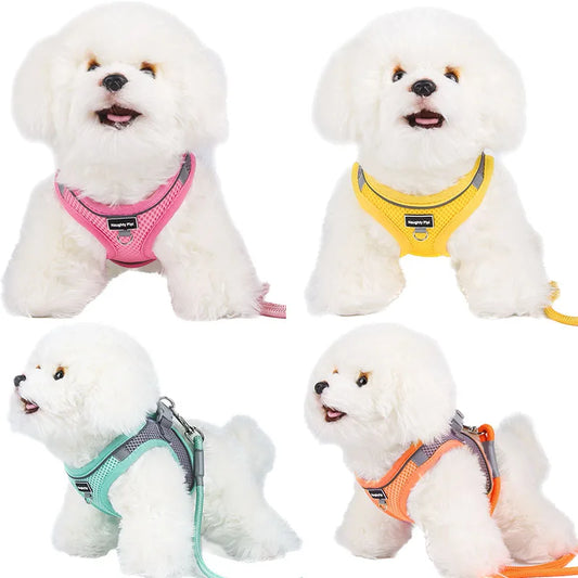Adjustable Harness Leash Set for Small Dogs