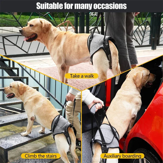 Adjustable Lift Harness for Large Dogs