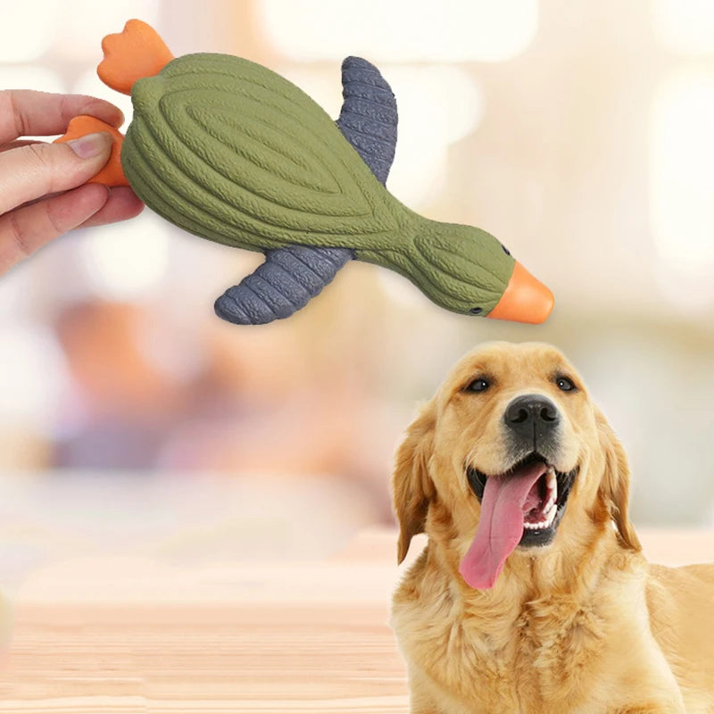Bite Resistant Interactive Toy