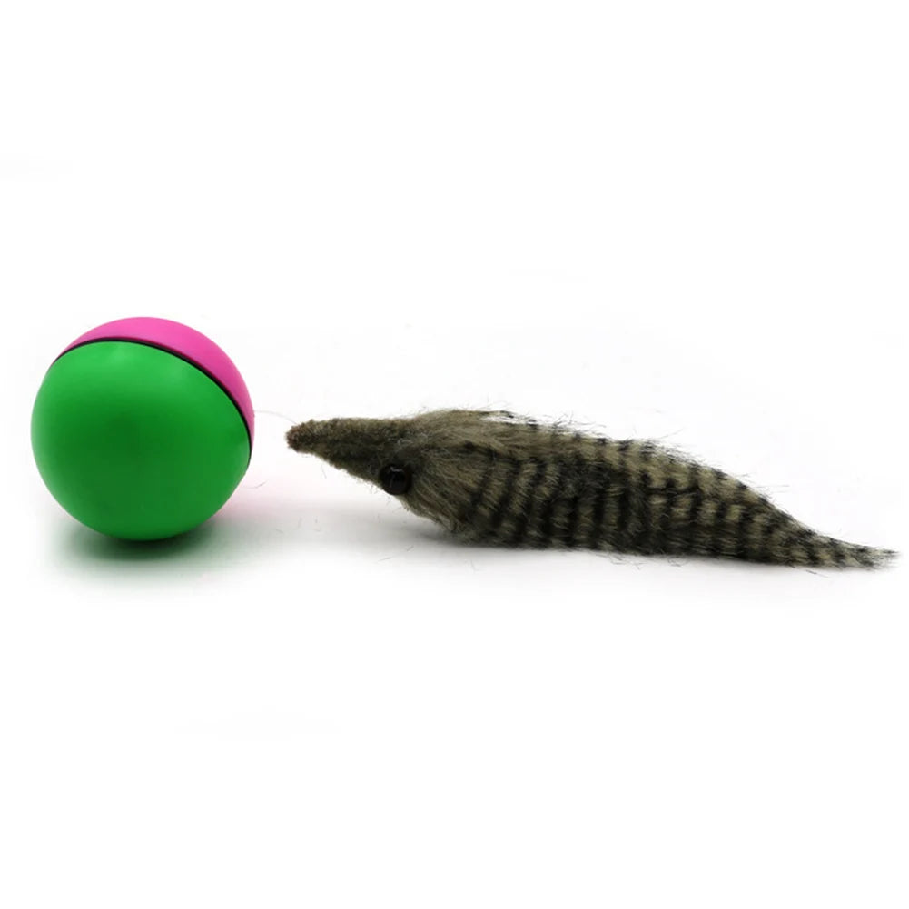 Electric Rolling Ball for Dogs/ Cats