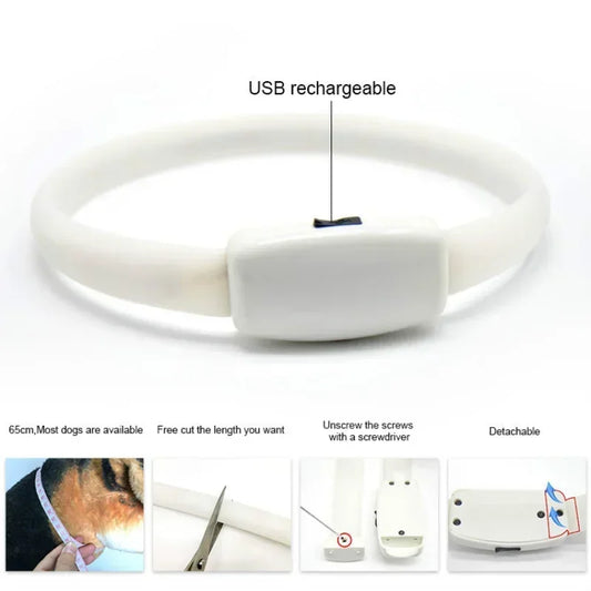 Durable LED With Flashing Lights Safety Pet Collar