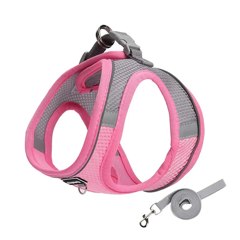Adjustable Harness Leash Set for Small Dogs