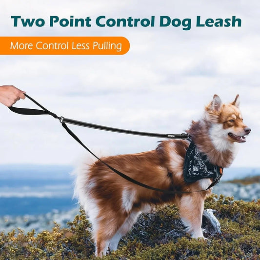 Reflective Two Point Control Dog Leash