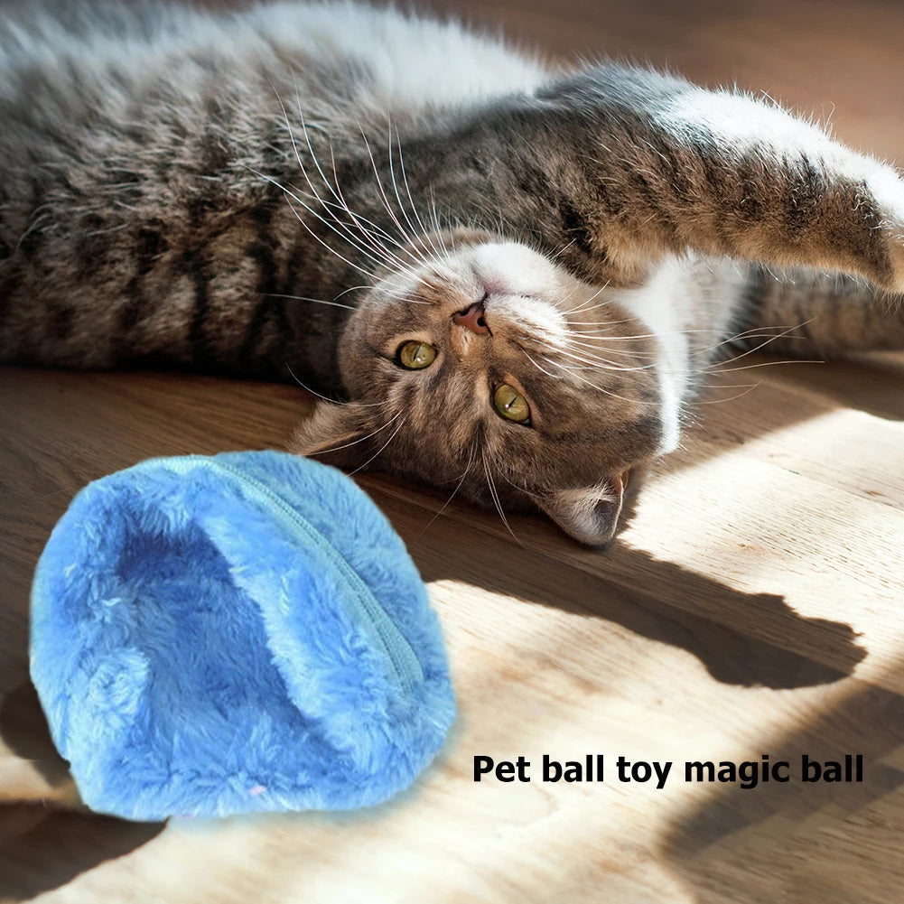 Automatic 5pcs Electric Balls Battery Powered for Dog/Cat