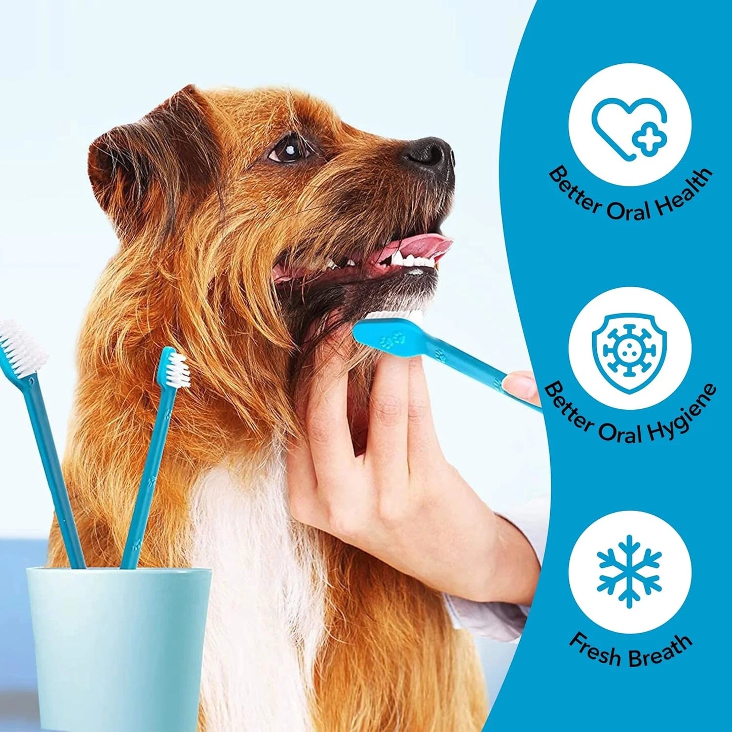 3-Piece Dog Toothbrush Set - 2 Dog Toothbrushes + Small Dog Finger Toothbrush