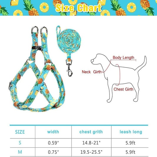 Comfortable Adjustable Heavy Duty No Pull Harness and Leash Set
