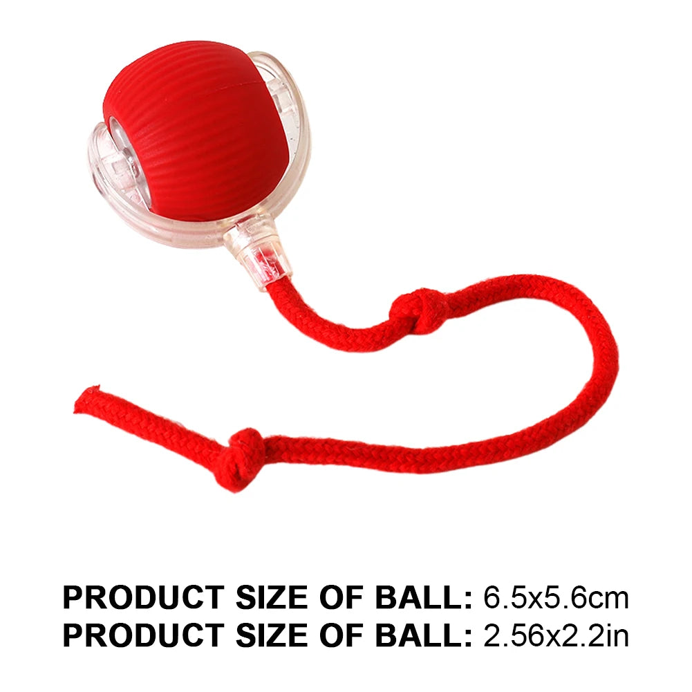 Rechargeable Automatic Motion Activated Caterpillar Teasing Cat Toy