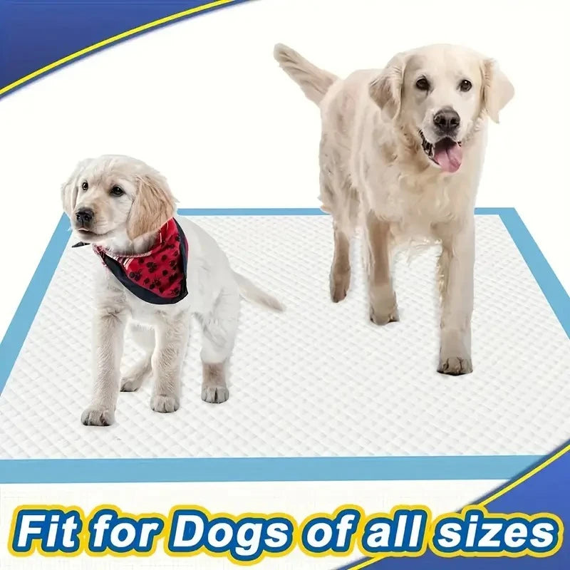 Dog Pee Pads with Leak-Proof Quick-Dry Design