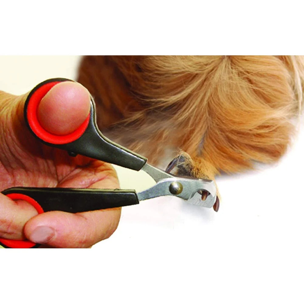 Small Animal Grooming Set With Nail Clippers and Brush