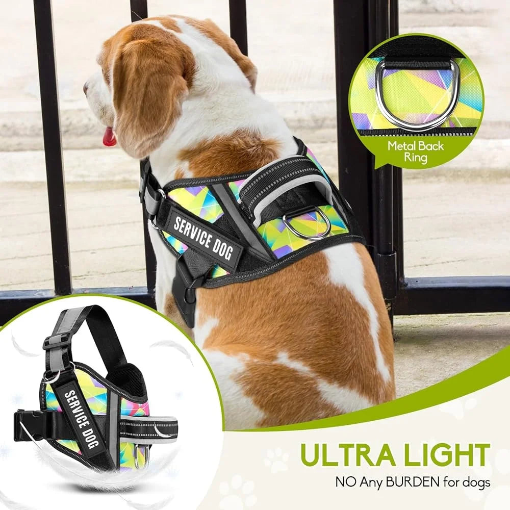 Service Dog Harness Leash Set