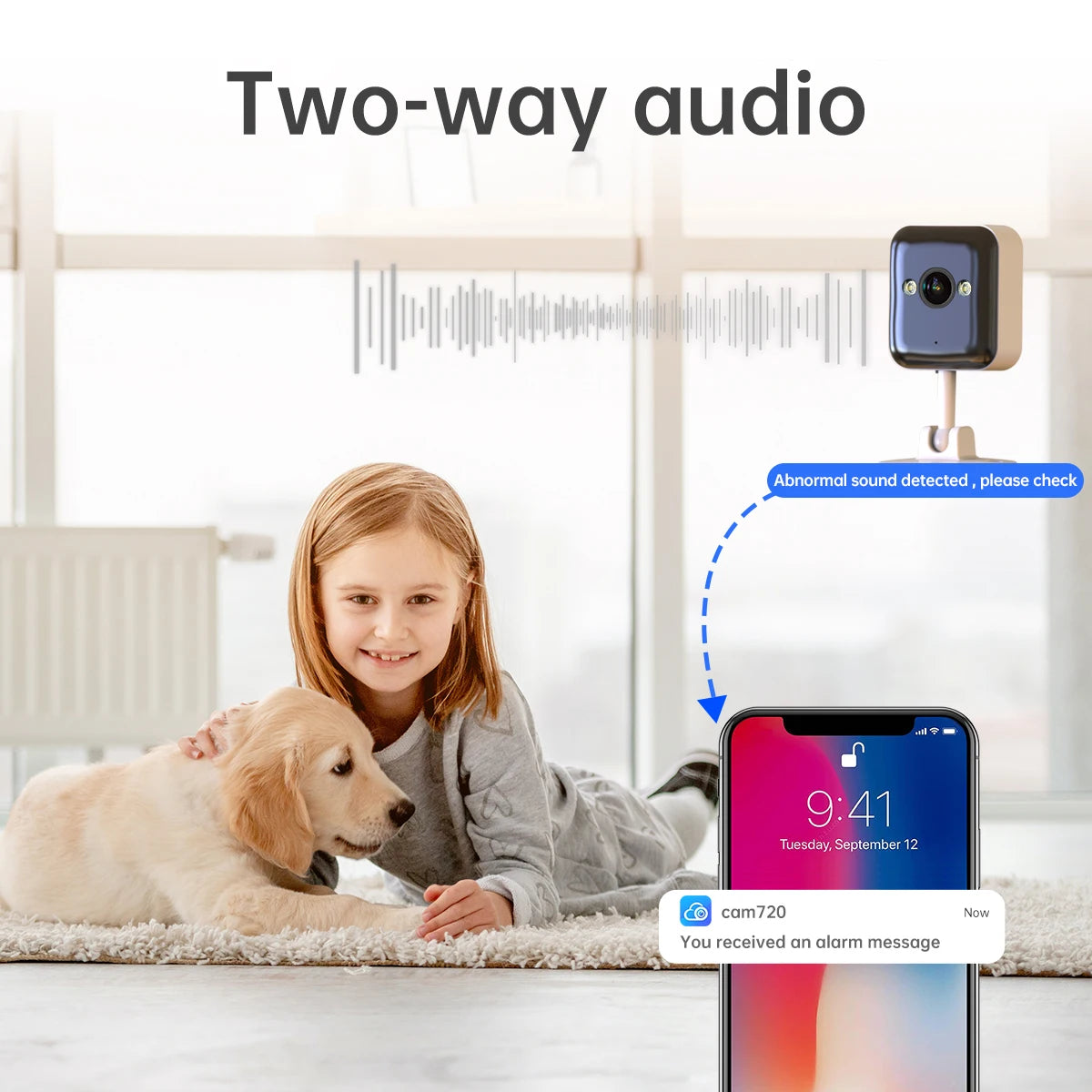 Two Way Audio Video Surveillance
