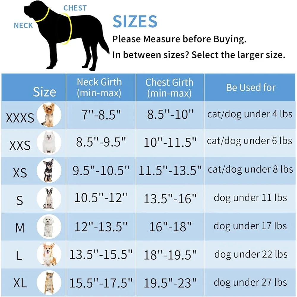 No Pull Dog Harness Leash Set