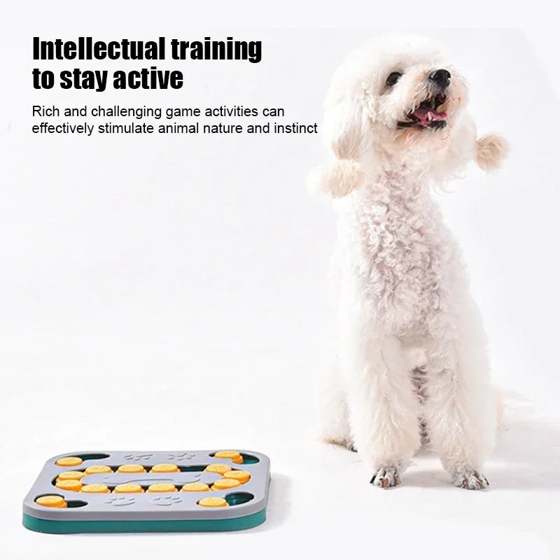 Interactive IQ Training Puzzle Slow Feeder Toys