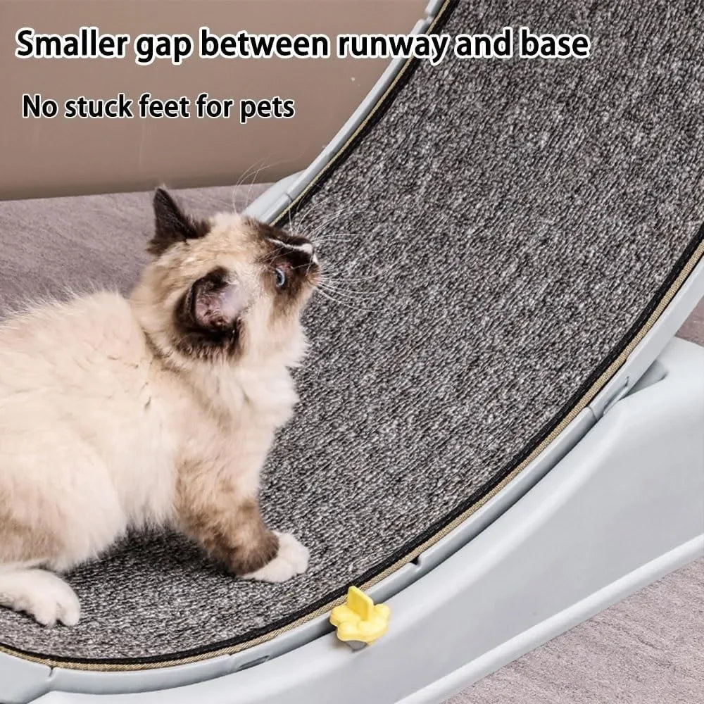 Running Wheel for Cat's Fitness