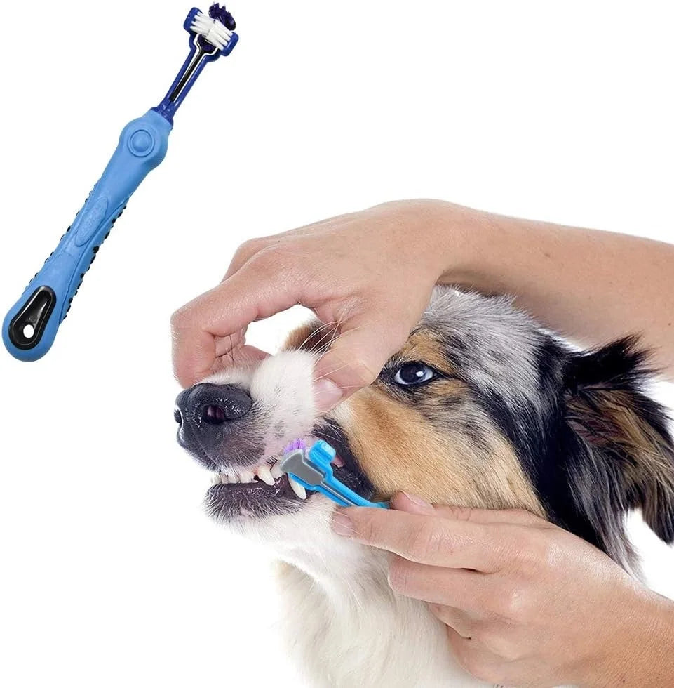 3-Sided Pet Toothbrush Removing Bad Breath and Tartar
