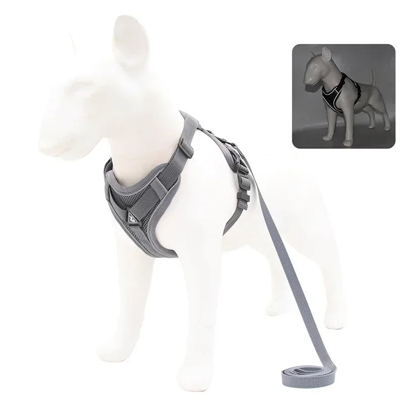 Adjustable No Pull Harness and Leash Set