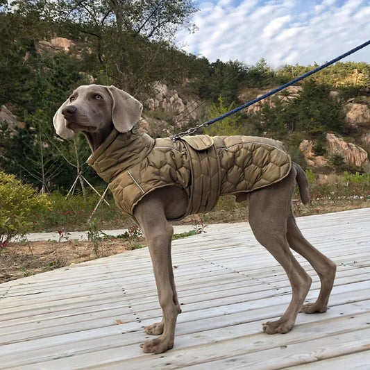 Thick Reflective Winter Jacket for Large Breed Dogs