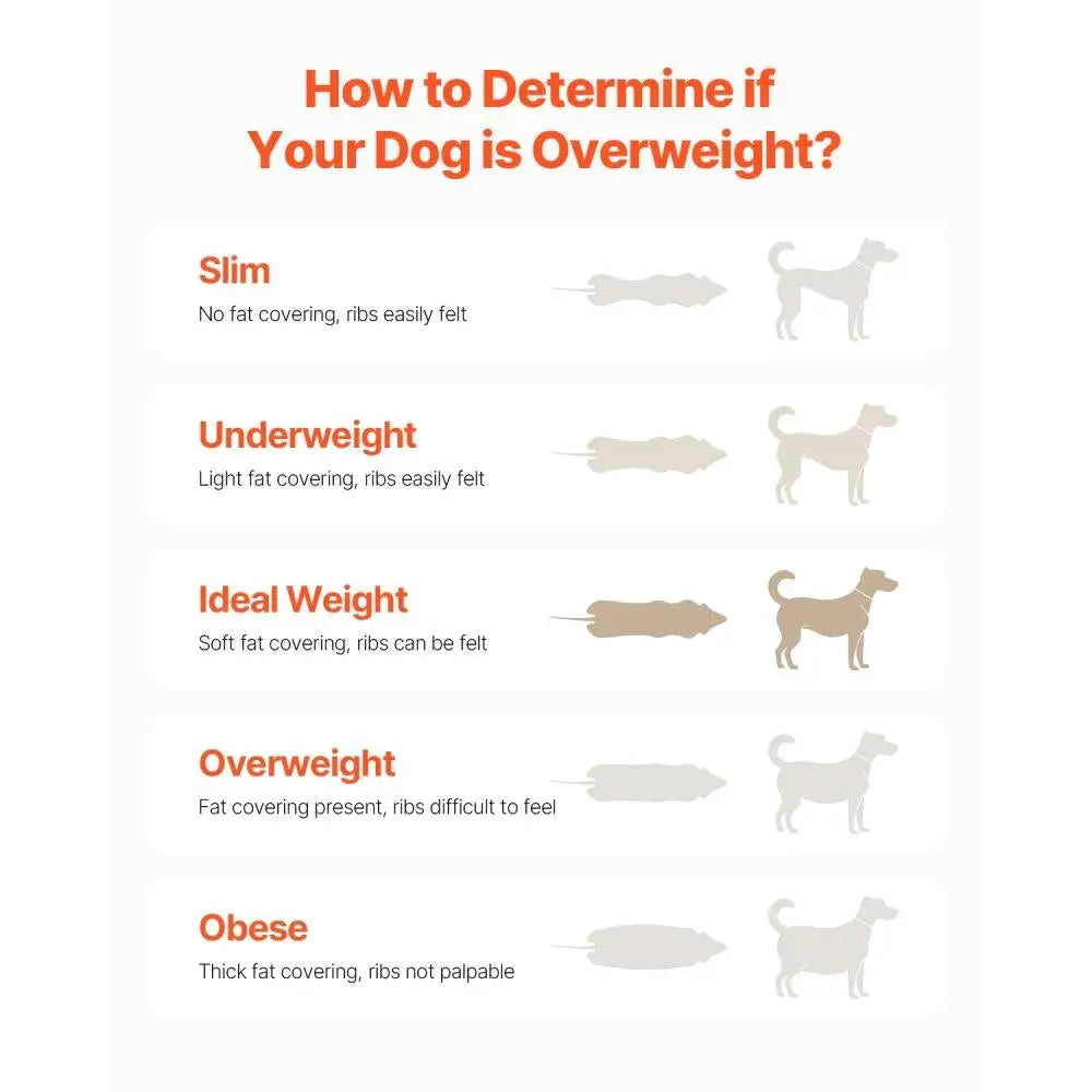 Electric Dog Treadmill for medium Dogs Supports Up To 200 lbs