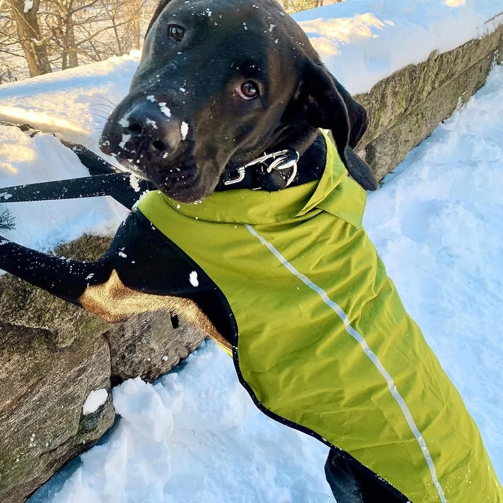 Adjustable Lightweight Breathable Waterproof Reflective Dog Raincoat