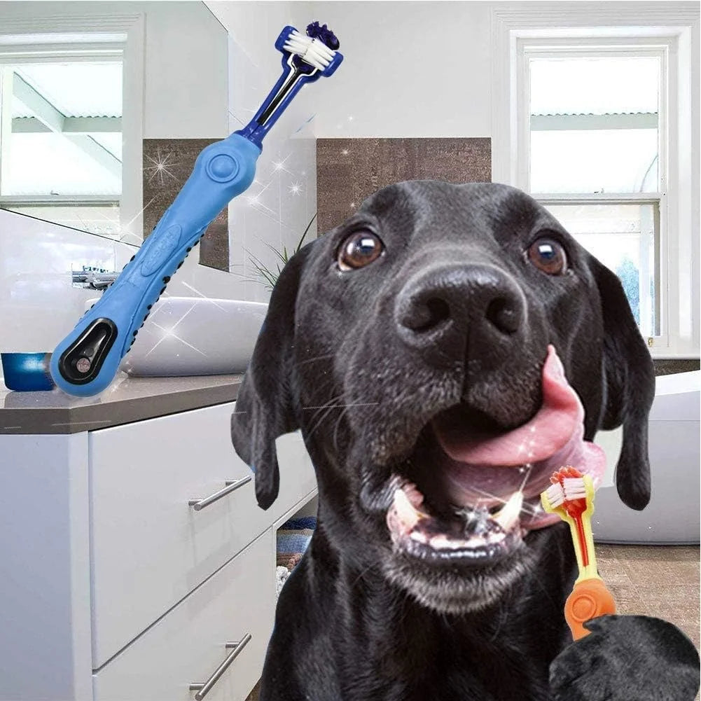3-Sided Pet Toothbrush Removing Bad Breath and Tartar