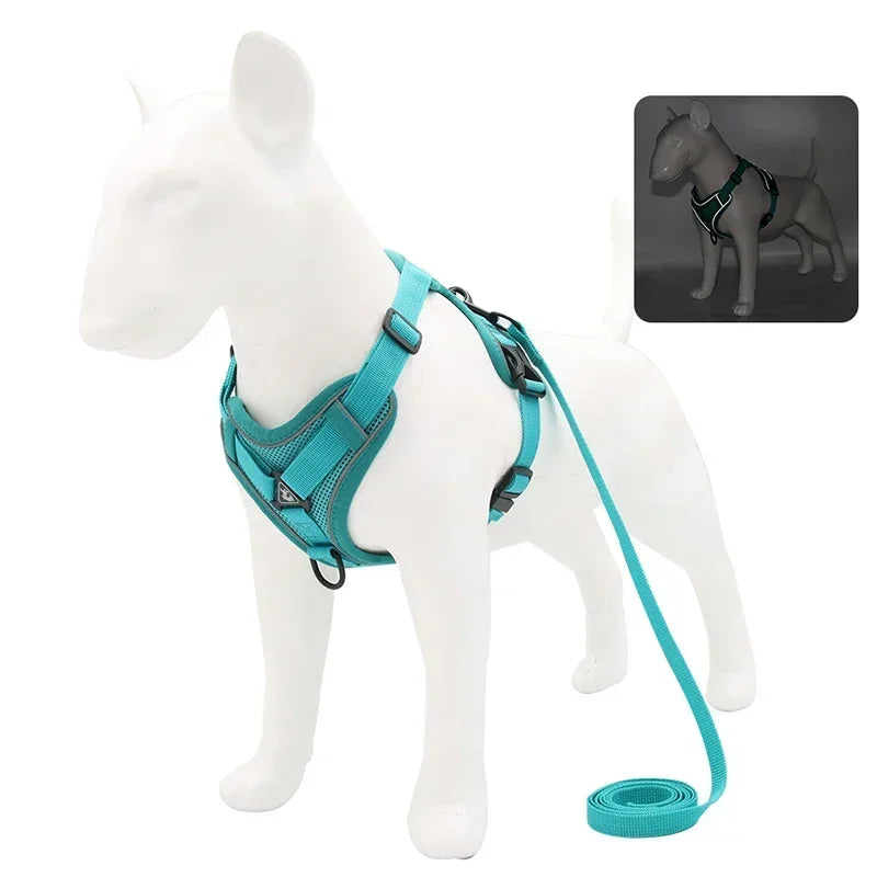 Adjustable No Pull Harness and Leash Set