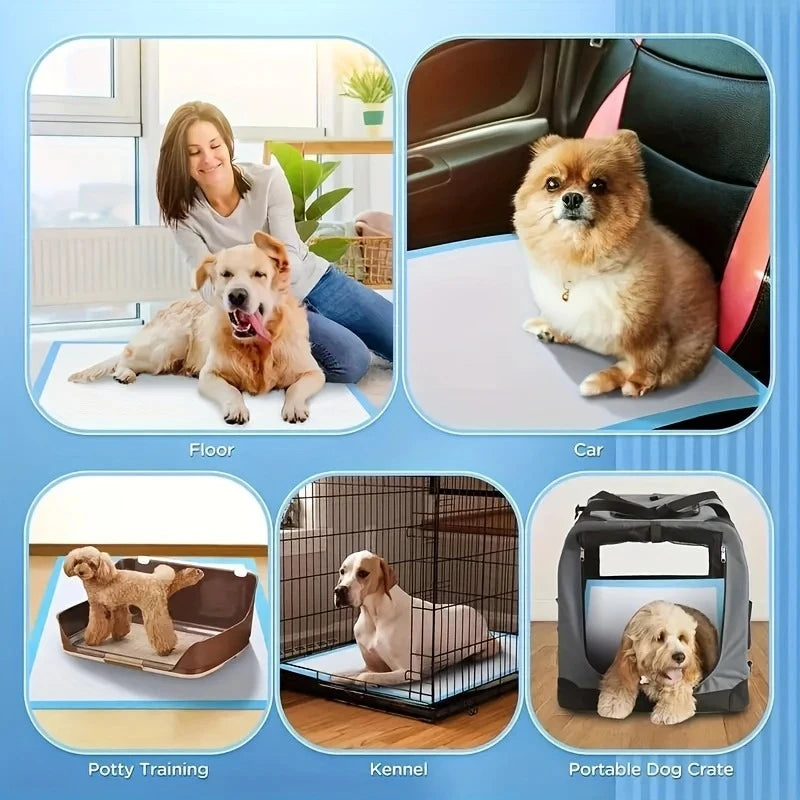 Dog Pee Pads with Leak-Proof Quick-Dry Design