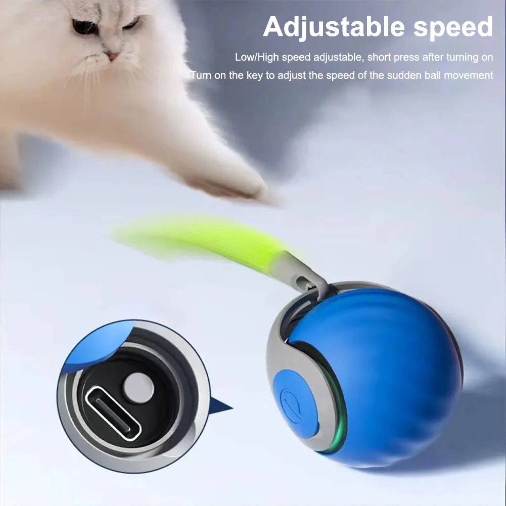 USB Rechargeable Interactive Cat Toy