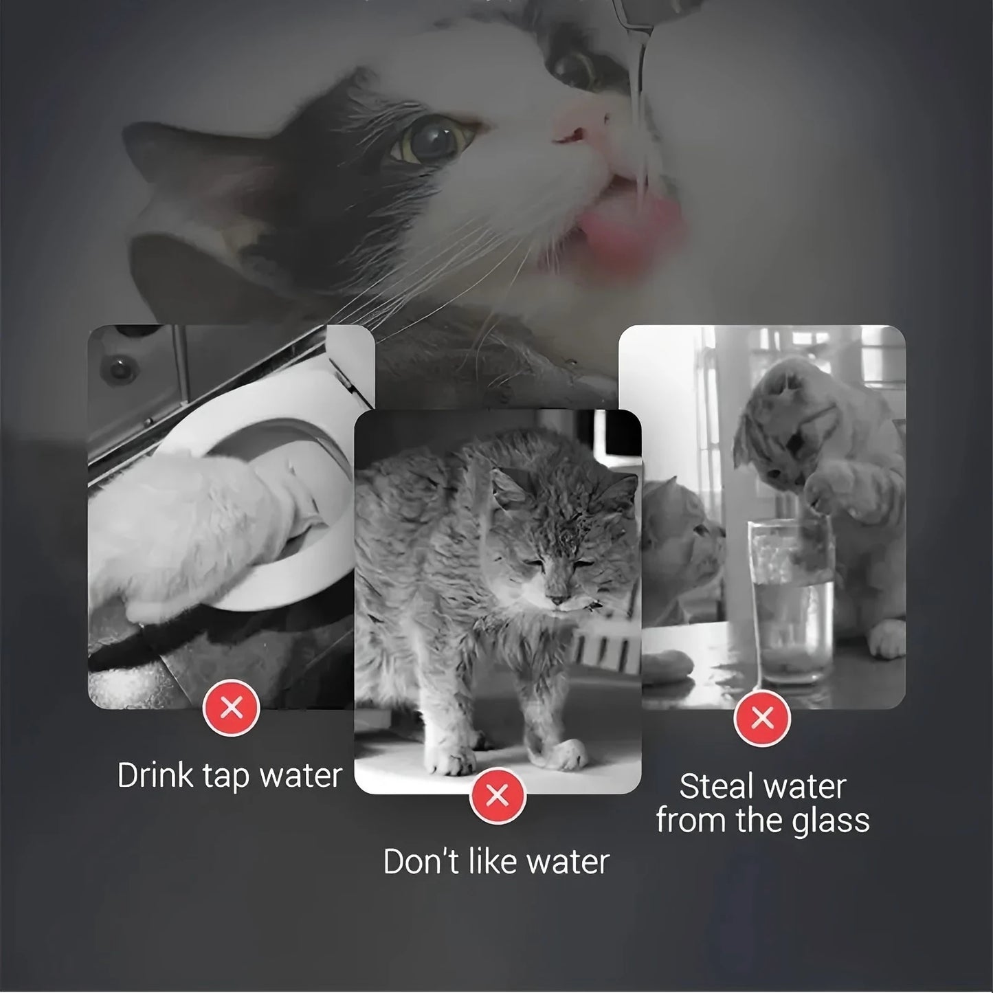 Smart Drinking Fountain with Faucet & Filter for pets